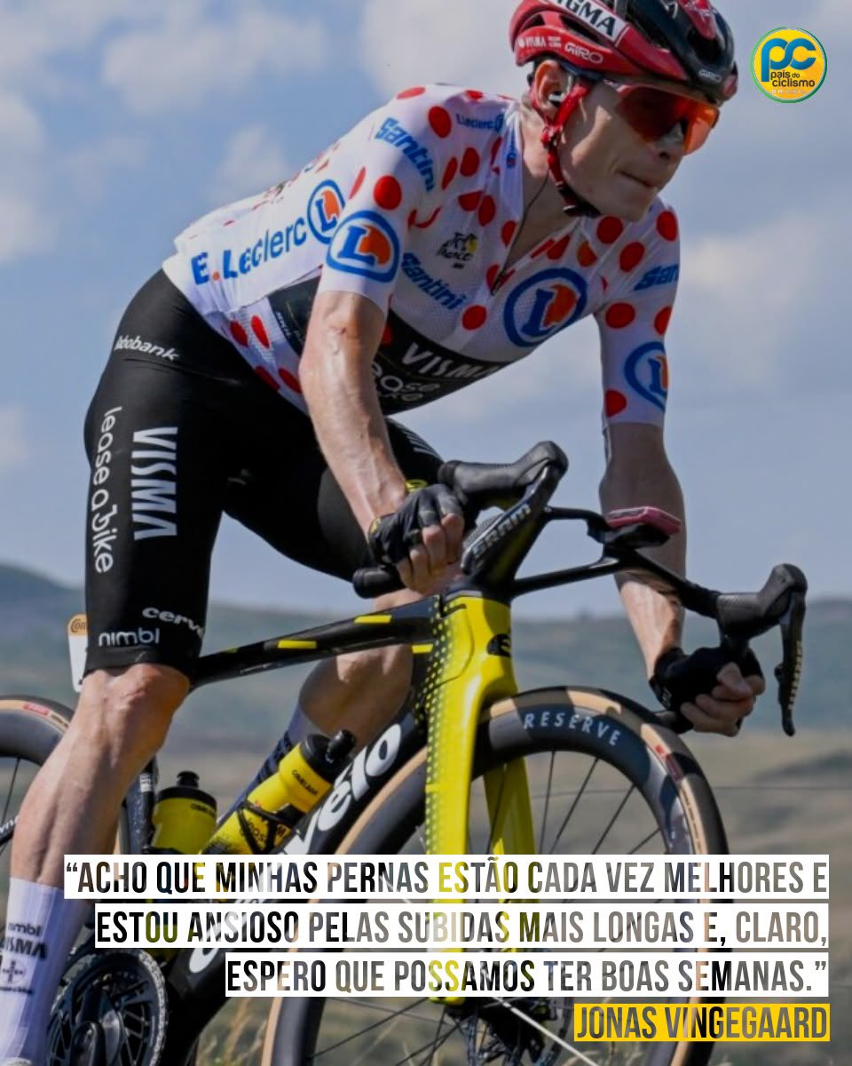 O País Do Ciclismo tweet media