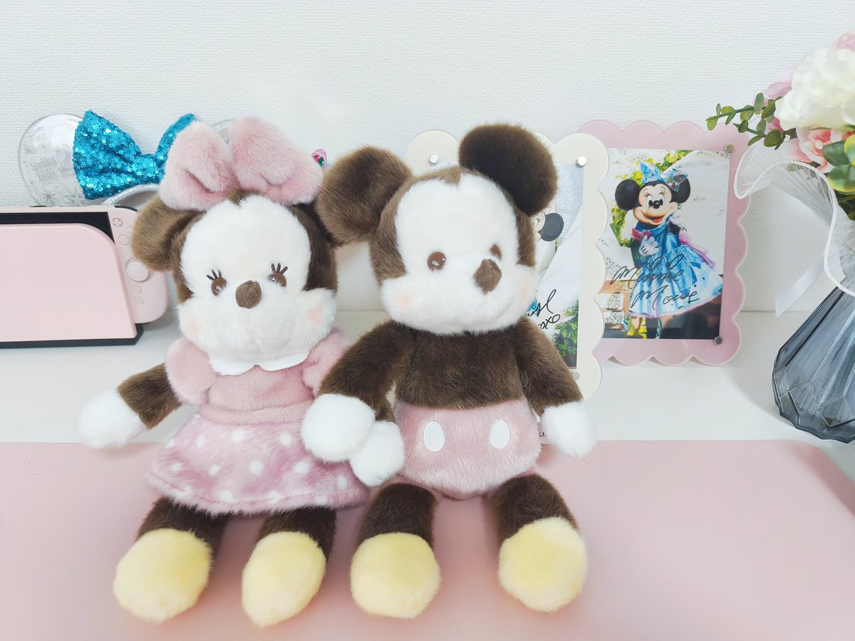 pppinkc's tweet photo. 一目惚れして珍しくペアで買ったミキミニ届いたかわいすぎる😭💕
もこもこだから冬に連れていきたいな💭
#PALNUI https://t.co/CWVAINjNwb