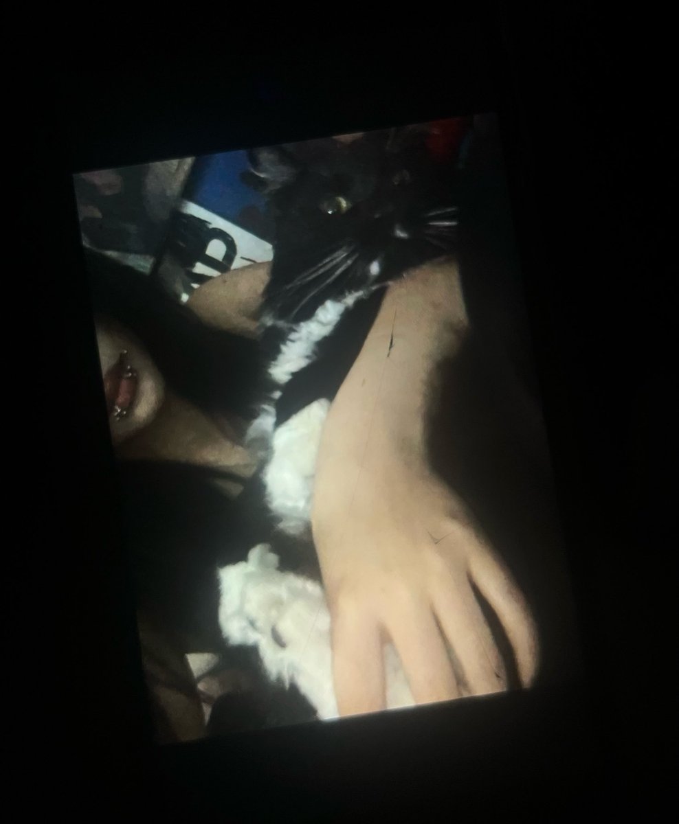 dumpsterrbb's tweet photo. happy 5th birthday to my son ≽^-⩊-^≼ https://t.co/dTWag6ofw4