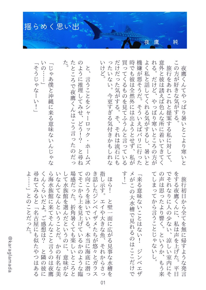 karaglameda's tweet photo. ydk🦅夢　『揺らめく思い出』
🦅と旅行に行くシリーズのやつです。今回は沖縄！国内です！ https://t.co/xn669pTSMm