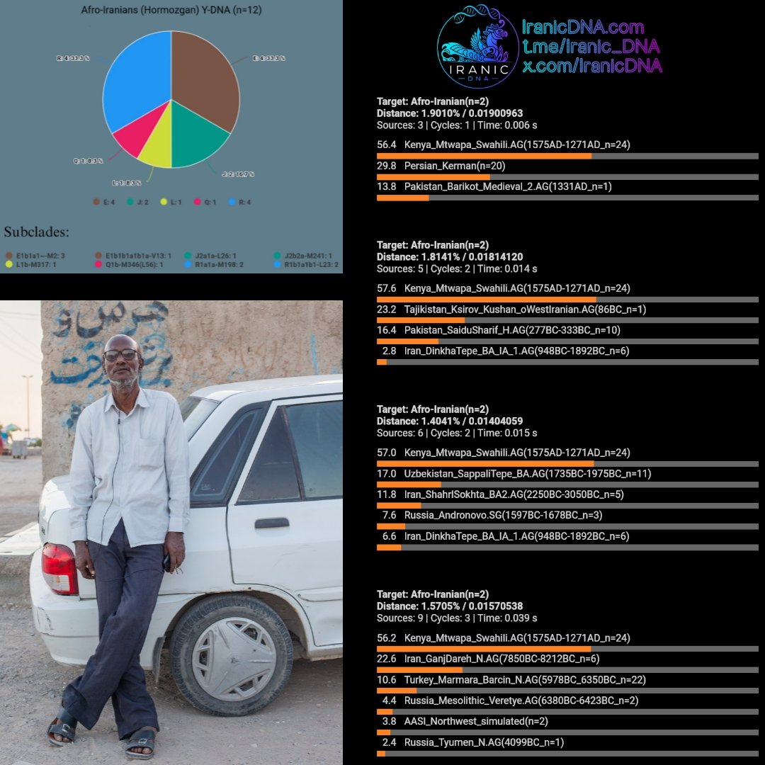 Iranic DNA tweet media