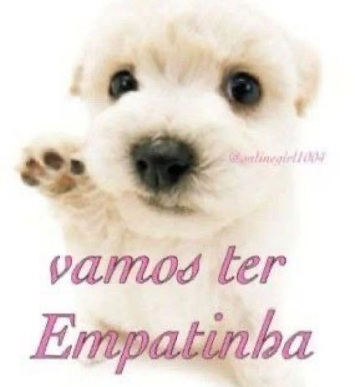 dede ✧・ ESTUDA: DEDEMED tweet media