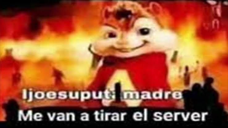 Momazos Candel! 🐦🔥 tweet media