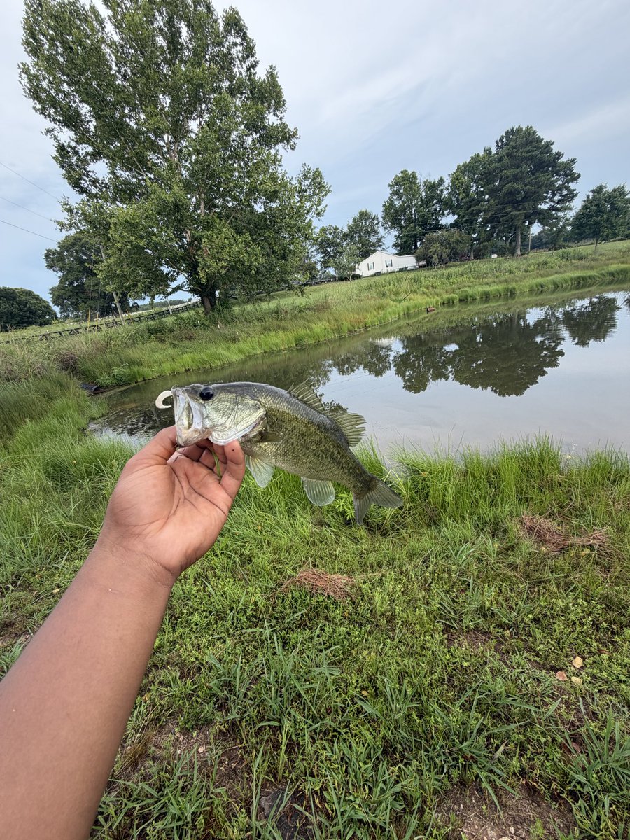 DunnRj9's tweet photo. another great day at Gordon State College! first wood bat home run! and a little fishing on the side! https://t.co/sCciQcZ3Zu