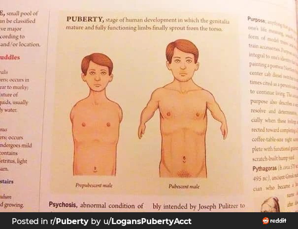 normalmya's tweet photo. trans men be like "passing is so easy just take it estrogen" as if double arm amputations just fucking grow on trees. Testosterone mutilated me https://t.co/ooZ48oOljg