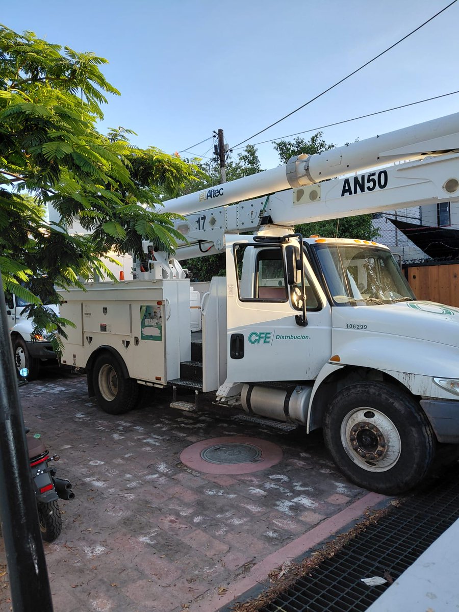 CodigoQro's tweet photo. ⚠️⚡️ #AHORA Personal de la CFE Nacional realiza poda de árboles en la colonia Cimatario. Los trabajadores de la empresa productiva del Estado comentan que había ramas que ya estaban recargadas sobre los cables de energía eléctrica #Local #CódigoQro 💡🚨

📸 Mónica Gordillo https://t.co/nxZpD4DQjq