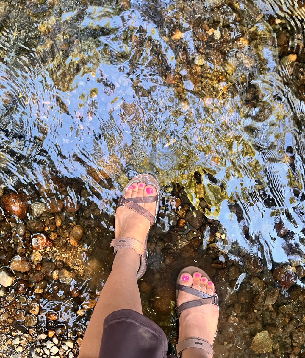 lexa1478's tweet photo. Such pretty toes on a gorgeous walk! Dm me for more ;) 🌷✨ #feet #feetfetısh #feetpics #feetvideos https://t.co/njzH6pMtwK