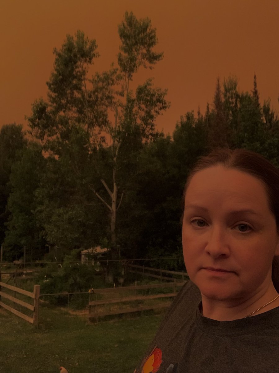 Alina_Cameron's tweet photo. Why arenโt there enough fire crews in northwestern Ontario @fordnation? https://t.co/IsrVzLTRC5