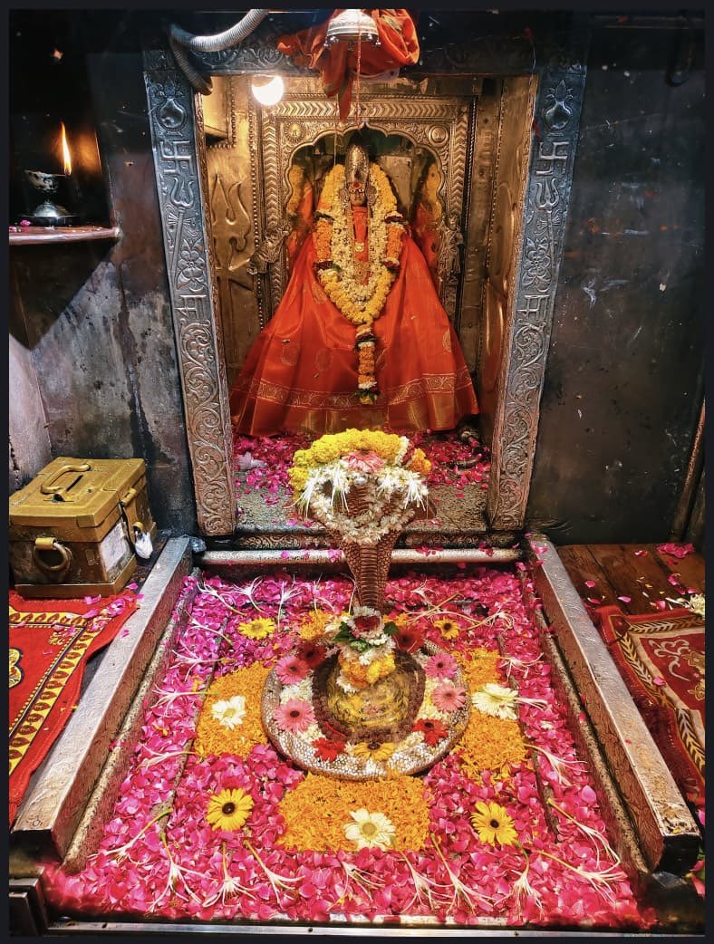 12Jyotirling's tweet photo. श्री ॐकारेश्वर ज्योतिर्लिंग मंगला आरती श्रृंगार | 15.07.2026

Shri Omkareshwar Jyotirlinga Mangala Aarti Shringar | 15.07.2026 https://t.co/w3PNExjLT0