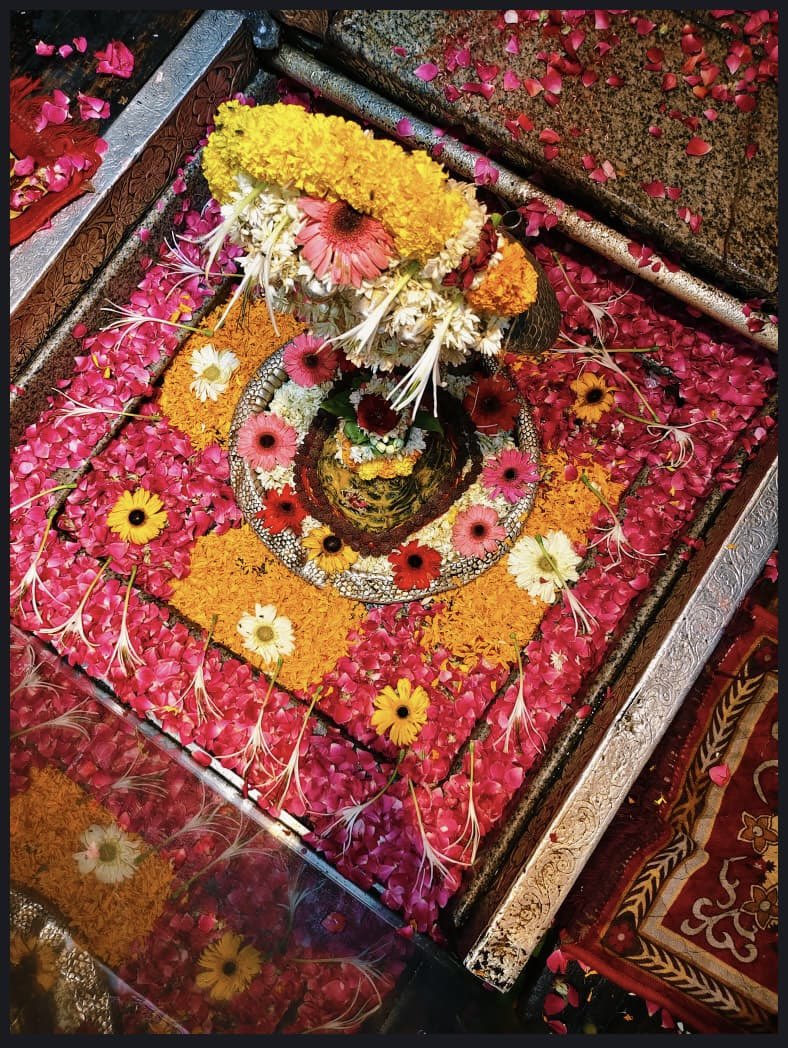 12Jyotirling's tweet photo. श्री ॐकारेश्वर ज्योतिर्लिंग मंगला आरती श्रृंगार | 15.07.2026

Shri Omkareshwar Jyotirlinga Mangala Aarti Shringar | 15.07.2026 https://t.co/w3PNExjLT0