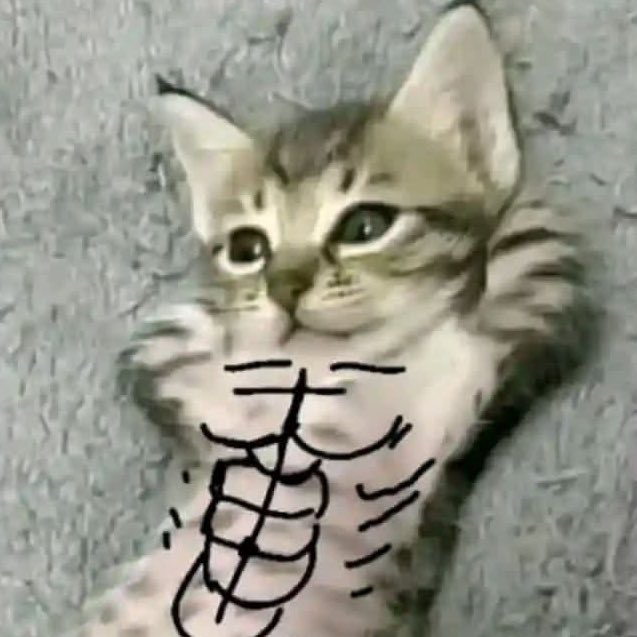 𝓢𝓷𝓸𝔀🐺 tweet media