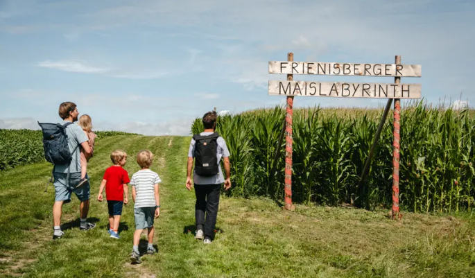 _IBWD's tweet photo. 🌽🌿Green, greener, maize maze: from 18 July, Frienisberg will once again be offering a summer adventure for the whole family amongst tall maize plants, spanning an area roughly the size of six football pitches! #Frienisberger #Maislabyrinth
👉https://t.co/D0N65WtIua https://t.co/TayRZ10yG8