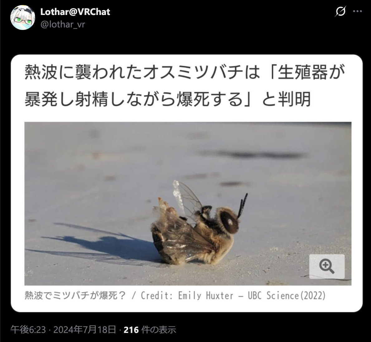 Lothar@VRChat tweet media