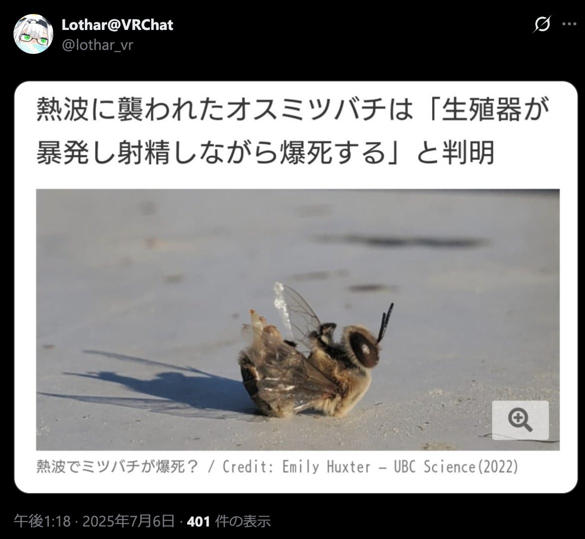 Lothar@VRChat tweet media