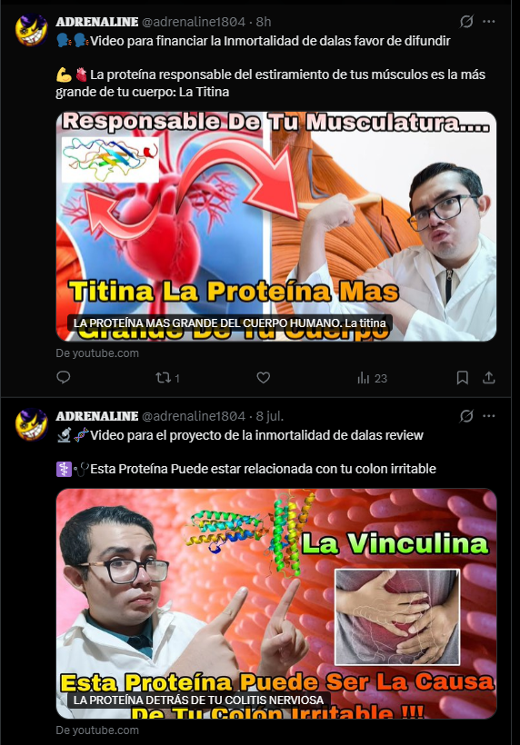 Relatos de André tweet media
