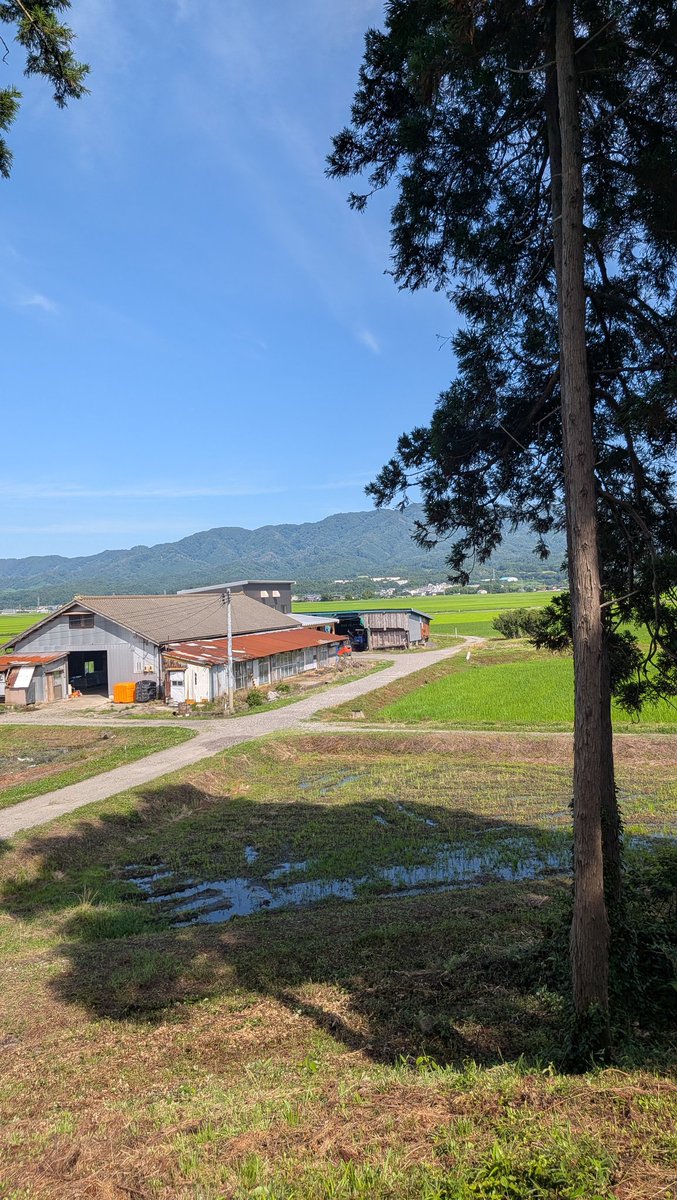 glandjunp's tweet photo. 胎内市　城の山古墳から見る櫛形山脈 https://t.co/XgjRNyJvTY