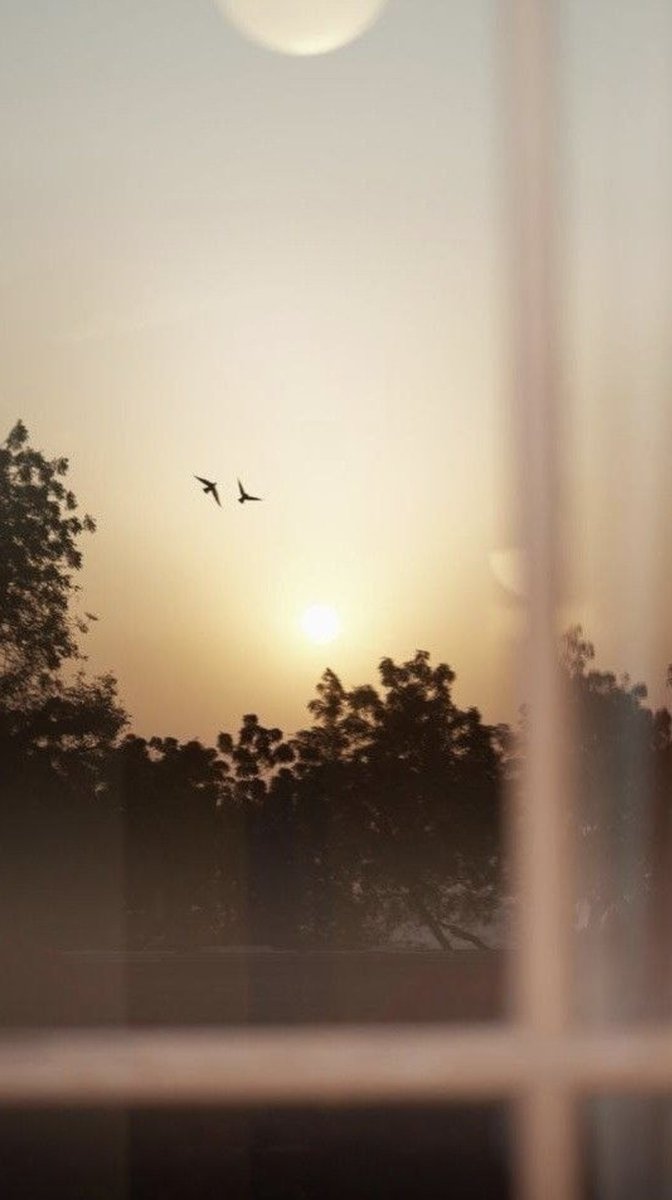 ezzat_teleb's tweet photo. واشرقت الارض بنور ربها. ✨🌤 https://t.co/4K4Kn10wYx