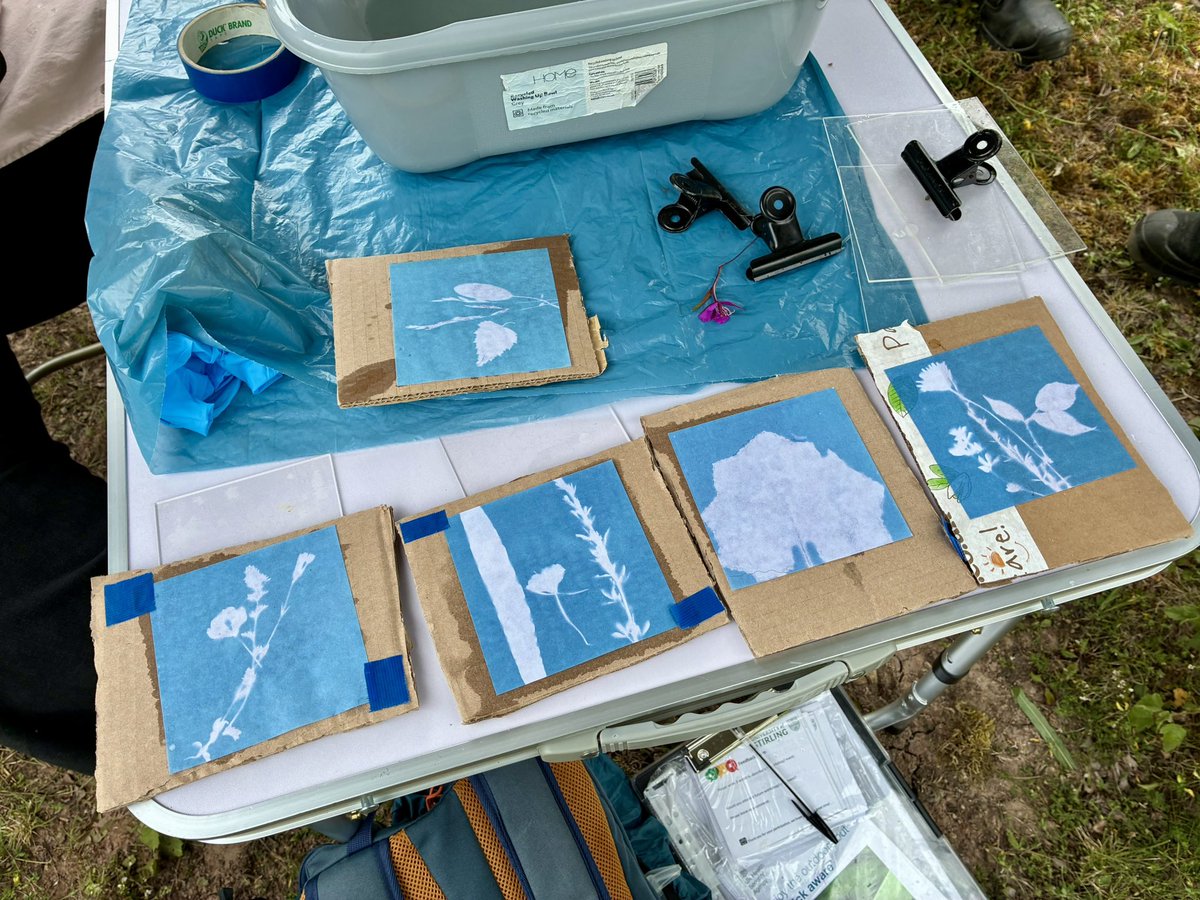 coal_legacies's tweet photo. We also took opportunity to film project artist Yvonne’s @YWLStudios cyanotype workshop with the botanical gatherings. Want to know more about the events nip to https://t.co/nS5DhIAgvr https://t.co/cB1vHL1UH8