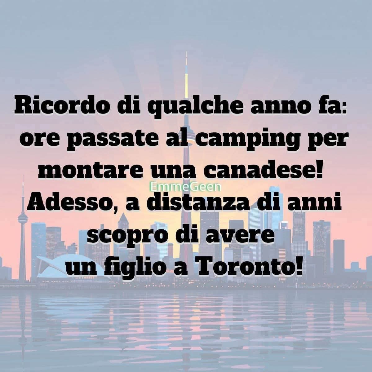 Teresa Melani tweet media
