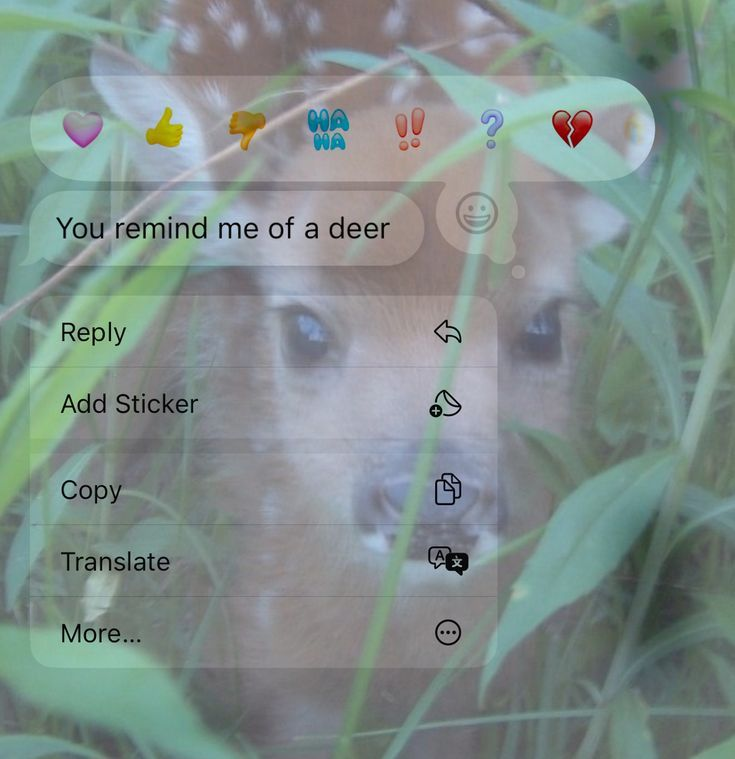 ipostdeer's tweet photo. https://t.co/Lvqcp8d7U9