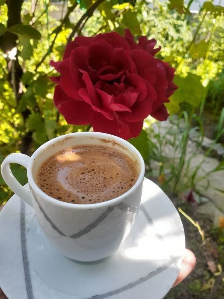 s_hwr5's tweet photo. في بيوتنا القديمة 
لم تكن كلمة أحبك تتردد  كثيرًا لكنها تُقال بألف طريقة دون أن تُنطق كانت في يدٍ تمتد لتعدّل غطاءنا ونحن نيام وفي لقمةٍ تُترك لنا ..وفي كوب شايٍ ينتظر عودتنا وفي بابٍ يُفتح قبل أن تمتد إليه أيدينا أتقنوا لغة الأفعال فزرعوا في قلوبنا الأمان دون أن يشعروا ❤️ https://t.co/Yx6cGKEBAx