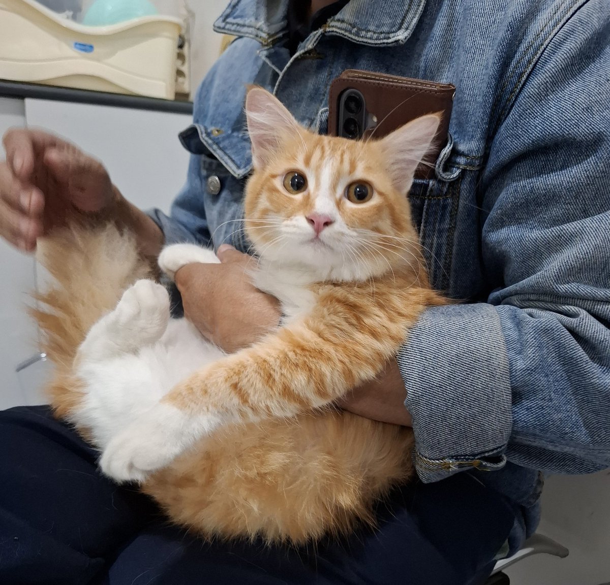 LotusdanCitos's tweet photo. Haloo kaka kaka, aku mau steril hari ini. Hihihi dianterin babeh ke dokternya. Maaf baru aktif lagi mbabu aku sok sibuk sama dunianya 😌 https://t.co/AG3FujNCnt