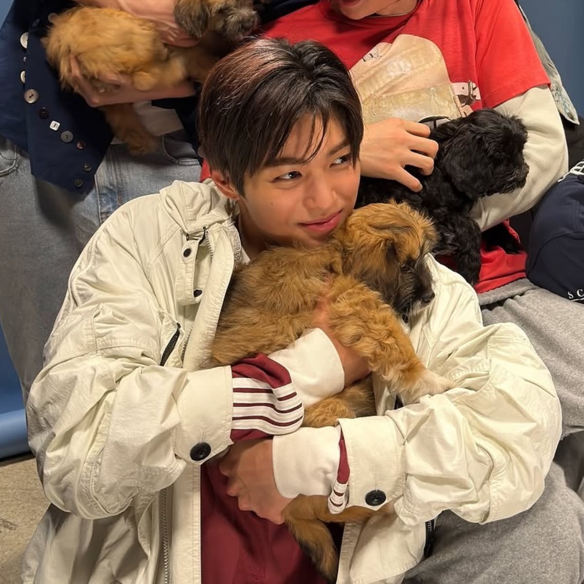 sourmaline's tweet photo. dd i can't even imagine how heartbroken you must be knowing you can't perform the way you wanted :(( i wish you a smooth and speedy recovery, keonho 🤍 i truly hope everything heals well, and i hope incheon’s concert still becomes a happy memory for you despite everything 🥹🫶🏻 https://t.co/Fe2c3jCCOU