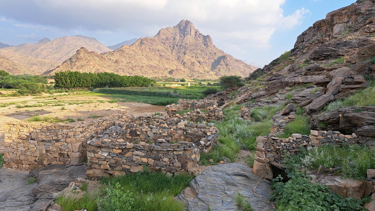 mayah2014's tweet photo. ( سوق الجمعة )
من يعيدك  لسابق عهدك وامجادك
مما انت عليه من حالٍ اليوم https://t.co/NWsBfZXsu7
