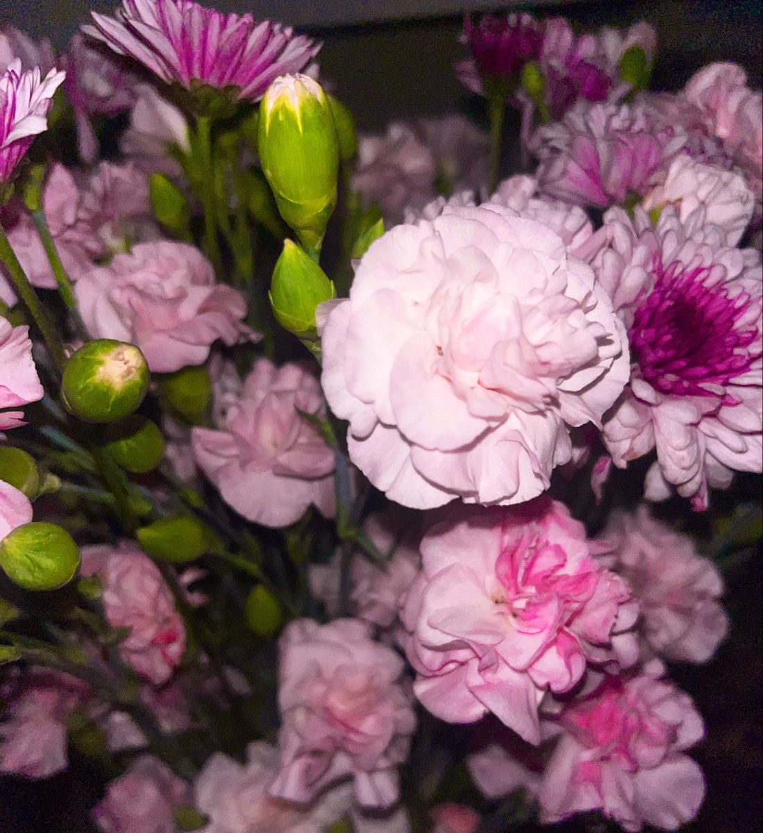 valeriaeblin's tweet photo. Y no sé qué más hacer que darte flores
te amo hasta el cielo https://t.co/SFUh9JnFT8