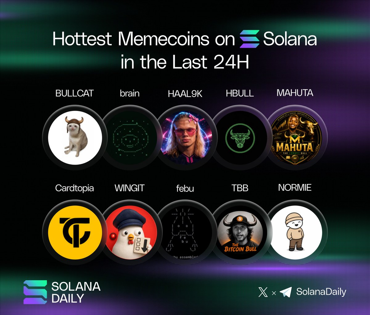 solana_daily's tweet photo. Hottest Memecoins on Solana in the Last 24H 🔥

🔸 $BULLCAT
🔸brain | @BrainfartAgent
🔸HAAL9K | @haal9K
🔸HBULL | @HyperBullSol
🔸MAHUTA | @MAHUTA_1
🔸Cardtopia | @cardtopiaco
🔸WINGIT | @WINGIT404
🔸febu | @febu
🔸TBB | @GoingParabolic
🔸NORMIE | @CTONORMIESOL