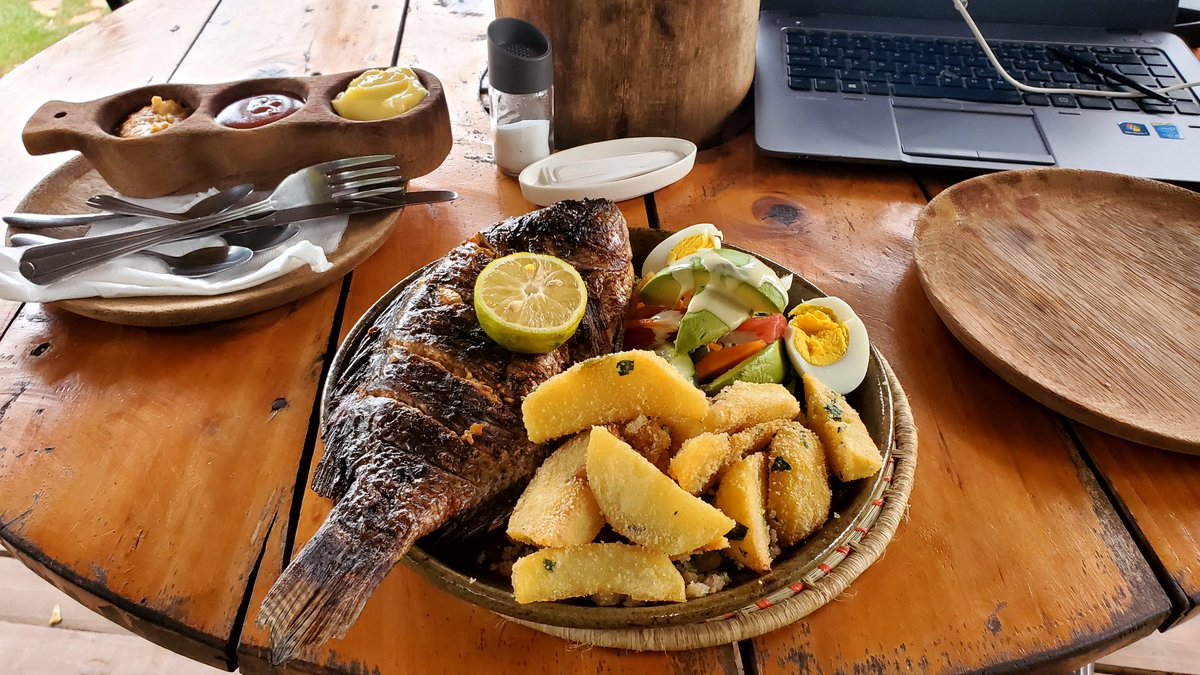 TruthyConnie's tweet photo. Fish seems to help keep the work going smoothly. https://t.co/oIdv1Pnvax