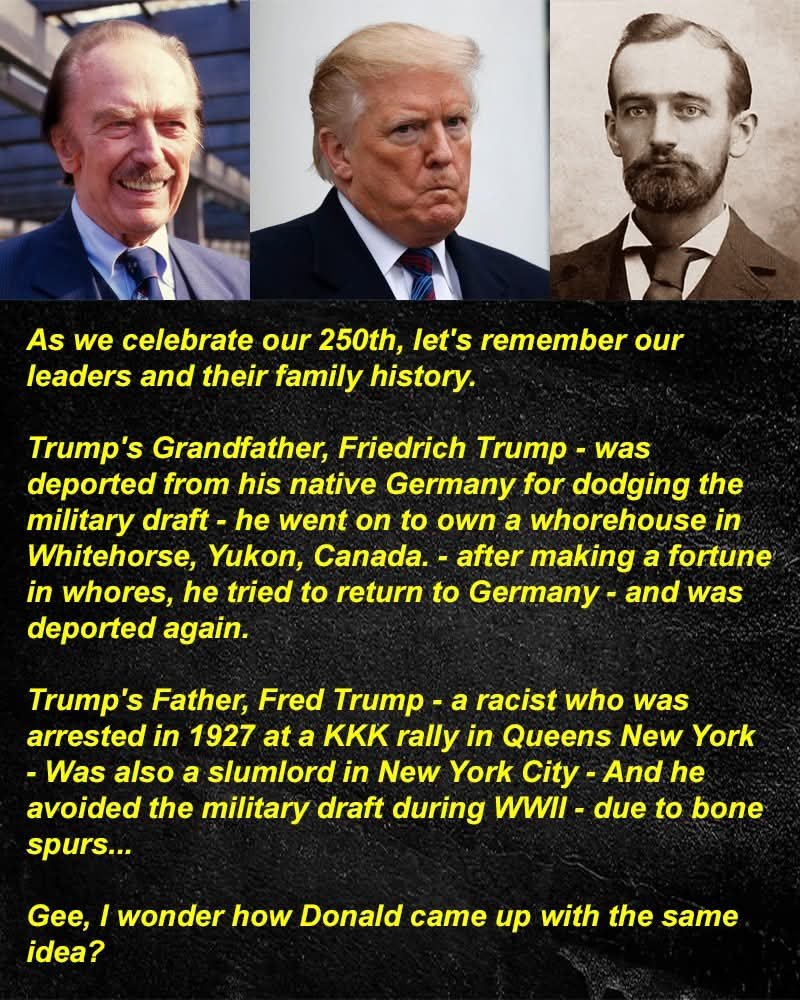 bobbynhl's tweet photo. Trump's family tree of ROTTEN APPLES...
Bunch of COWARDS!
IT'S IN THE GENES!
#MAGA #GOP #GOPCOWARDS #GOPTRAITORS #DUMBGOPS #GOPMORONS #GOPLIARS https://t.co/LA1uqIoumT