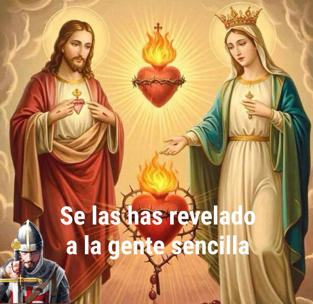 Ejército Remanente🏹Noticias tweet media