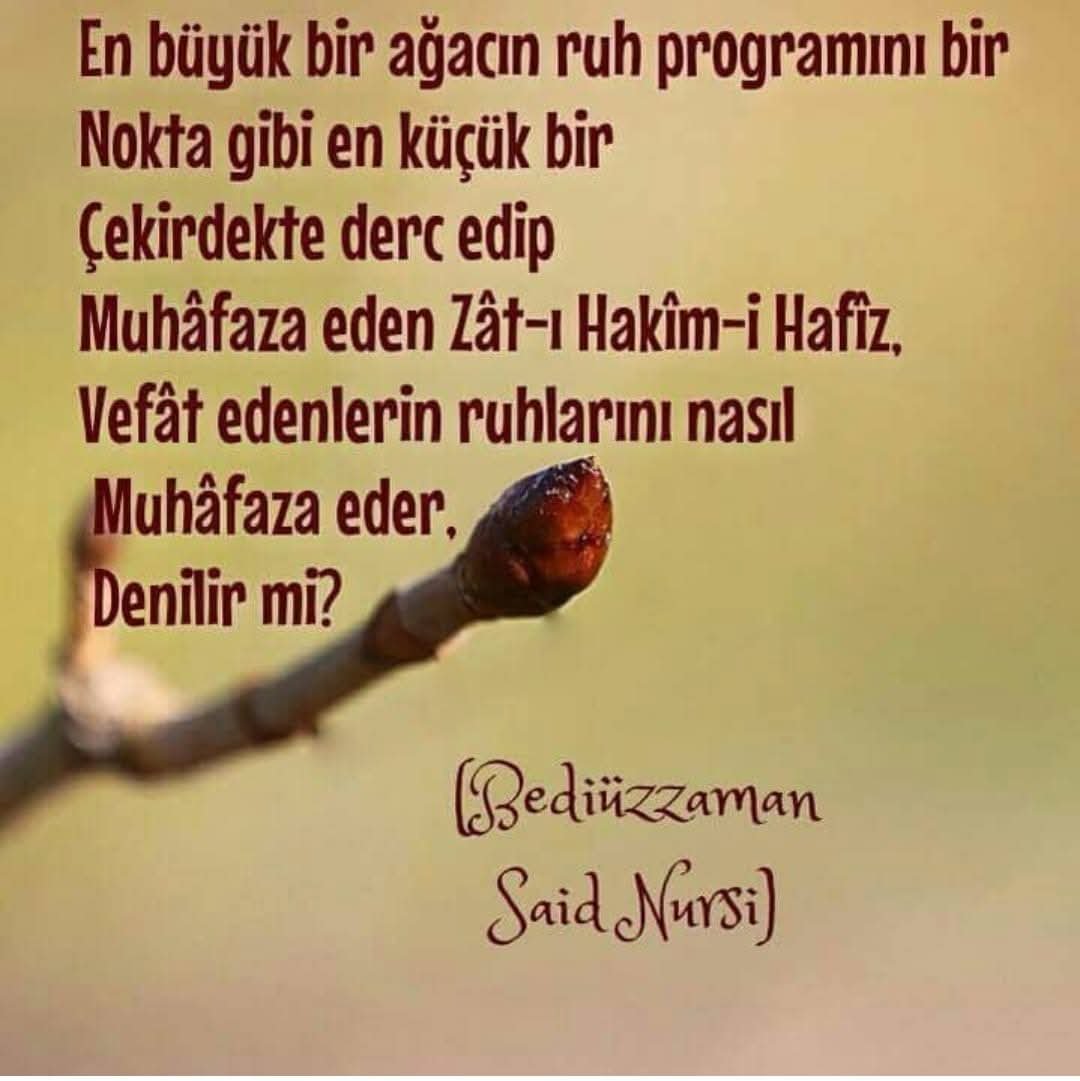 idalist06's tweet photo. https://t.co/ua8BCQij0U