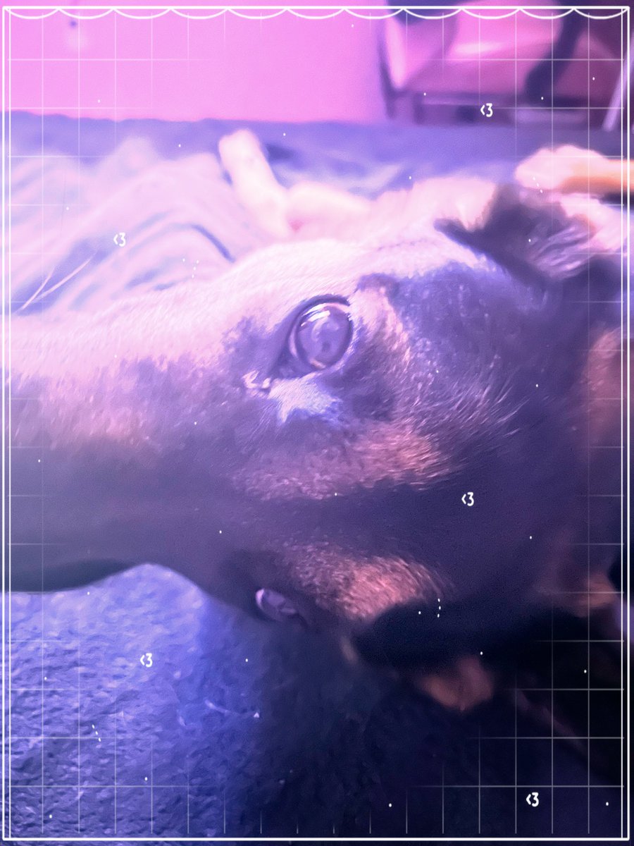 dazzlingsygar's tweet photo. ⌞ 🍭⌝ puppy https://t.co/65ovKwwfMb