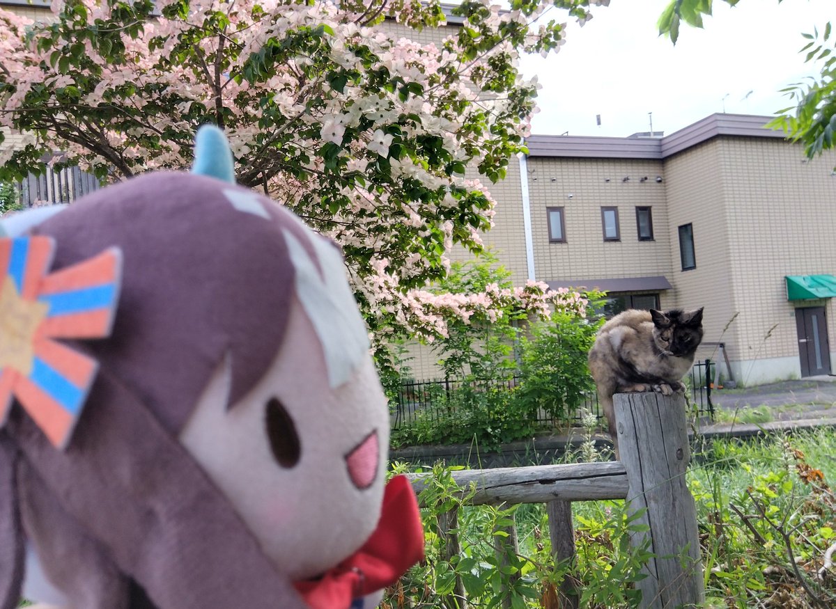 kurotoramaru_'s tweet photo. 阿寒湖行ってきた！タル、stgと阿寒湖だよ！ https://t.co/GX0cWdphLi