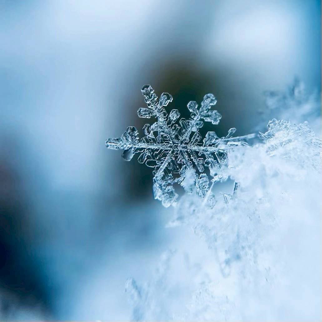 MiyaiMusic's tweet photo. 淡雪

・紹介文
「いつかはほどける夢を見させて。」

・曲名/アーティスト名
ルート225/cephalo
フラッシュバックサウンド/クワガタP
運命開花/空白ごっこ

・バンドメンバー
Gt.Vo. 黛陽向子（M5）
Gt. 清輔茉桜（M5）
Ba. 春山菜々実（M3）
Dr. 川瀬若菜（M3） https://t.co/QmGv5GNW9v
