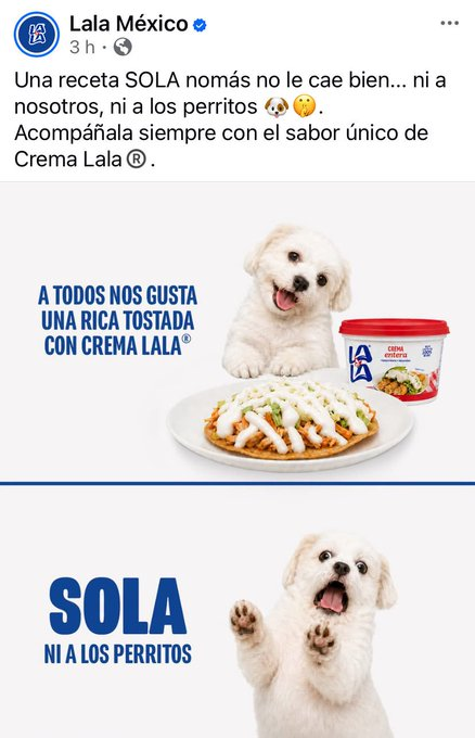 shiftybos's tweet photo. GRUPO LALA AL RECHAZO DE PEDRO SOLA
Y siguen empresas retirándose de @VentaneandoUno gracias al @tiopedritosola y a una idiota con risa estrambotica Paty chapoy. https://t.co/H0AtABGjxO