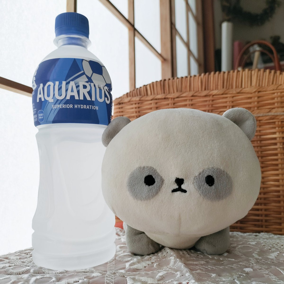 mishamainichi's tweet photo. Добрый день.
Каждый день очень жарко.
Береги себя. Пей воду! https://t.co/hhPMPUPq7k