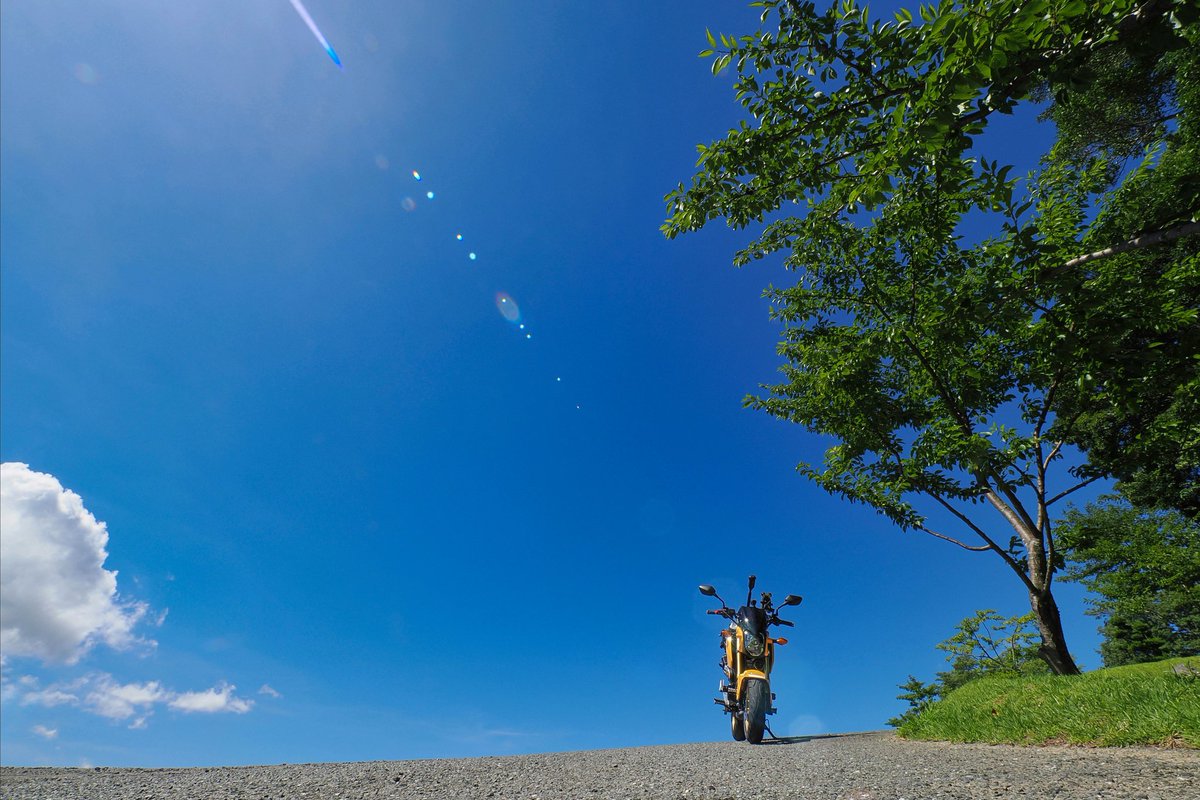 rinsei1967's tweet photo. #これを見た人は無言で去年の７月の画像を貼る
汗ダクで撮った記憶🥵・・。今年も劣らず暑いよね〜。 https://t.co/k6aJIGz5hC