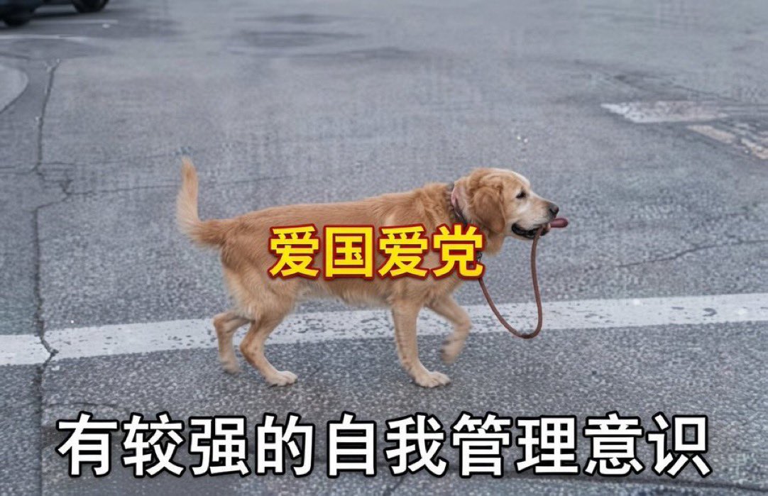CalathisE29291's tweet photo. @qing_zhao61937 @Sukiyonio 翻墙给你习爹洗地辛苦了 https://t.co/foydXaZq9T