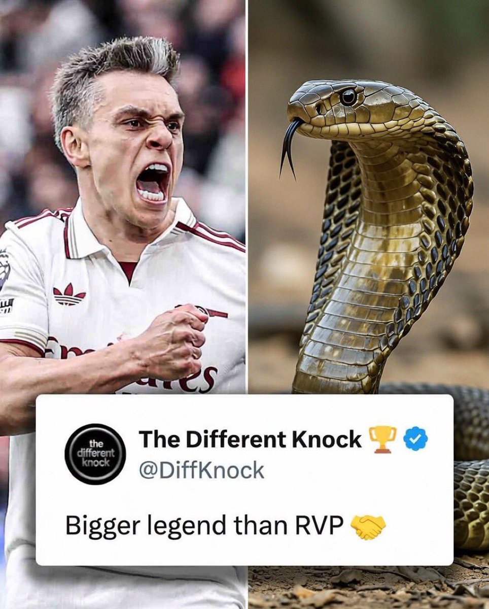 immatechy's tweet photo. Who do you think is Arsenal's biggest legend between the two of them? 

Me: Leandro Trossard anytime any day https://t.co/KHsPMRxPC6