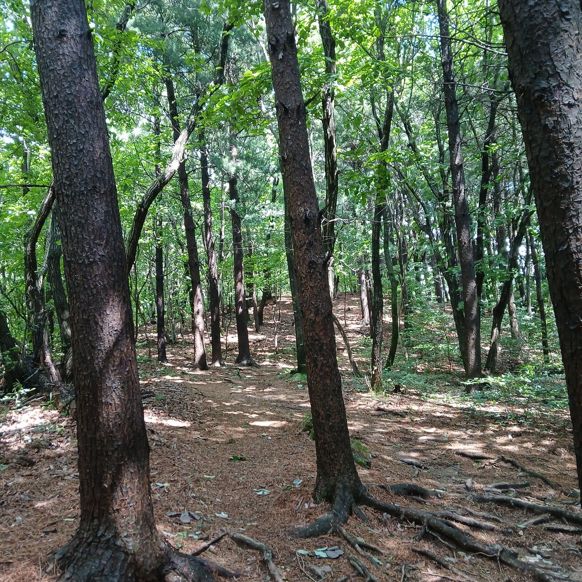 seasjks tweet picture