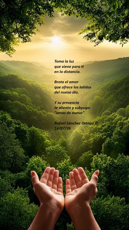 foncho05's tweet photo. Toma la luz
que viene para ti
en la distancia.

Brota el amor
que ofrece los latidos
del nuevo día.

Y su presencia
te alienta y subyuga:
"amas de nuevo".

Rafael Sánchez Ortega ©
14/07/26 https://t.co/VomRRPWeTO