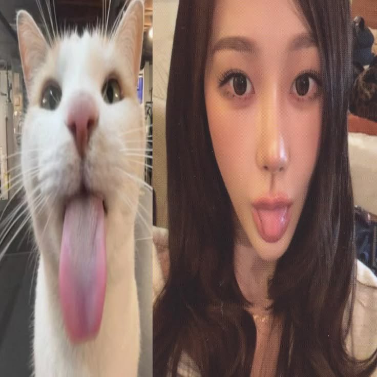 clesfyim's tweet photo. restarting

hi I'm neli, looking for interactive moots!

—  she/her, 19, filo, enfp
—  not new to #stantwt  #kpoptwt #studytwt
—  multi mainly reveluv, coer, glitt, my, and carat
—  any fandom is welcome!

♡ / ↻ would be appreciated, thank you! https://t.co/m5kYSKnNd8
