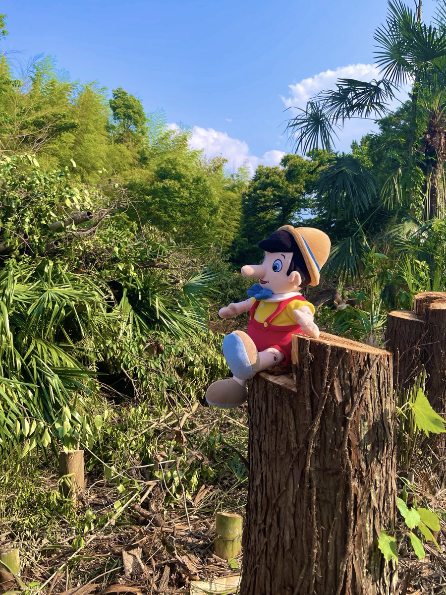 amusersports's tweet photo. この夏、初セミの声を聞き
この夏、初猛暑日を迎えた

今年の夏は涼しいのかな？
といった淡い期待も虚しく
やっぱり暑い夏を迎えた🥵

子ども達がワクワクし出し
おとな達がソワソワし出す
夏休みもやって来た！

空いた時間や急な予定変更に
体力の維持やスキルアップに
そして最高の思い出作りに！ https://t.co/Yk07B3HkHv
