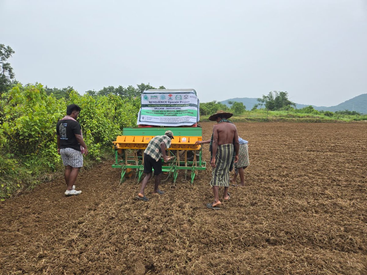 kvkdhenkanal's tweet photo. Revolutionizing Rice Farming: A Showcase of Mechanized Direct Seeded Rice Techniques under Resilience Upscale Project at village Beguniapal, Dhenkanal Sadar
#DirectSeededRice #MechanizedFarming
#SustainableFarming
@icarindia @AtariKolkata @OdishaUniversi1
@districtadmndkl https://t.co/KUaomNBmUp