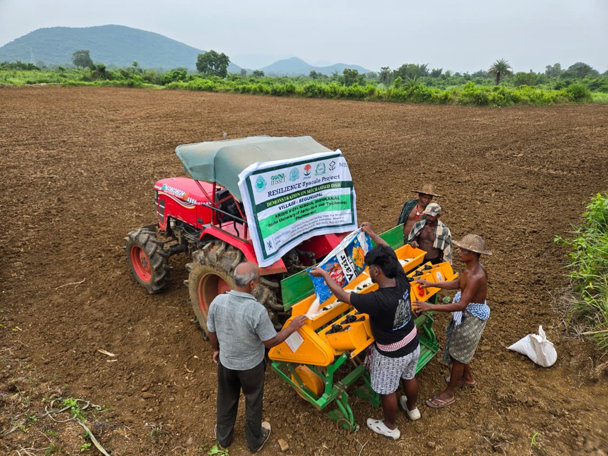 kvkdhenkanal's tweet photo. Revolutionizing Rice Farming: A Showcase of Mechanized Direct Seeded Rice Techniques under Resilience Upscale Project at village Beguniapal, Dhenkanal Sadar
#DirectSeededRice #MechanizedFarming
#SustainableFarming
@icarindia @AtariKolkata @OdishaUniversi1
@districtadmndkl https://t.co/KUaomNBmUp
