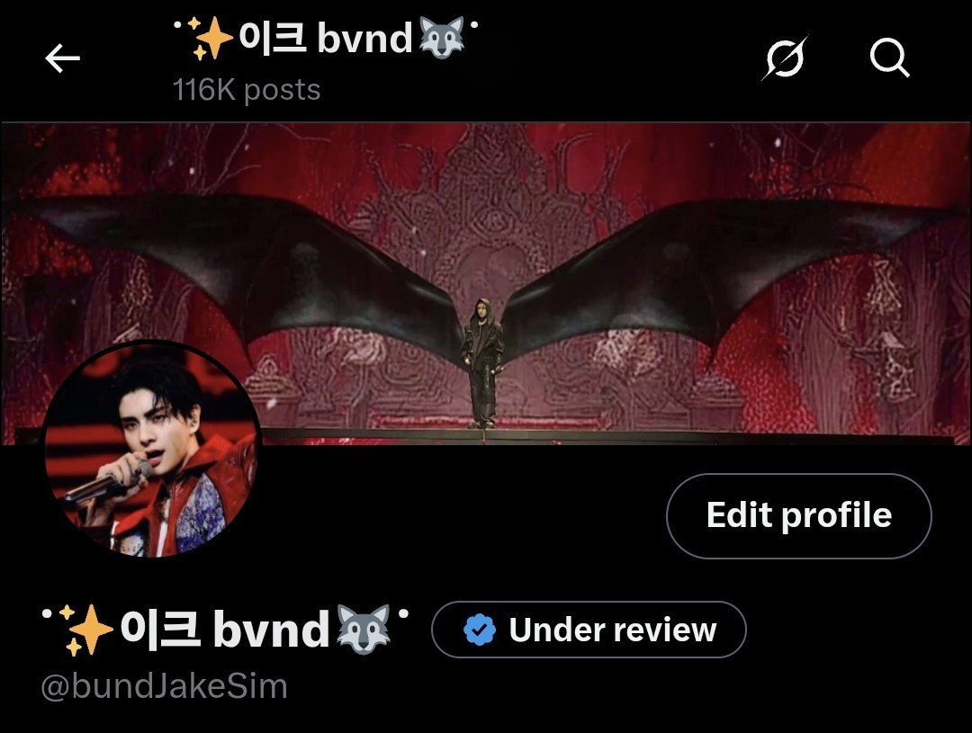 ˙✨️이크 bvnd🐺˙ tweet media