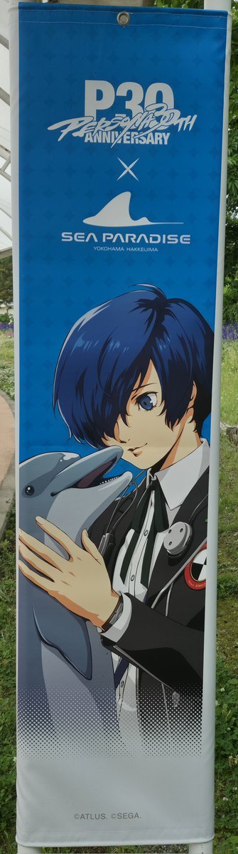 八景島シーパラダイス ペルソナコラボ ペルソナ3 結城理 #ペルソナ